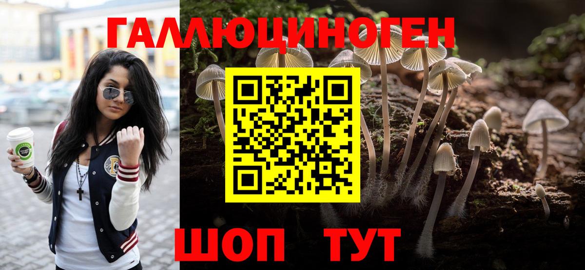 Усть-Лабинск  где купить наркоту  Вход с VPN  Галлюциногенные грибы Psilocybe  Галлюциногенные грибы мицелий 